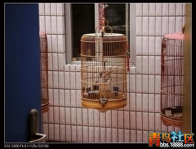 nEO_IMG_DSC01869.jpg