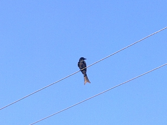 20120609612.jpg