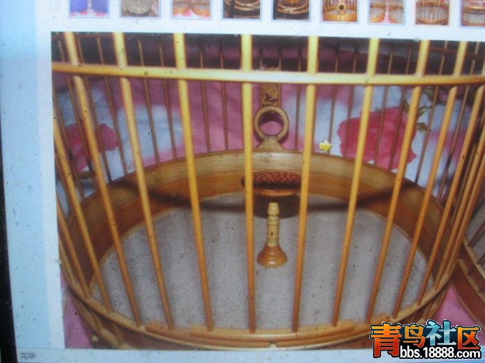 照片 195.jpg