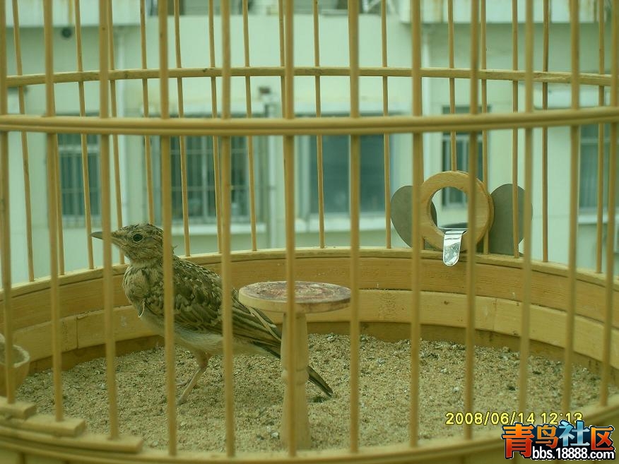SDC10267.JPG