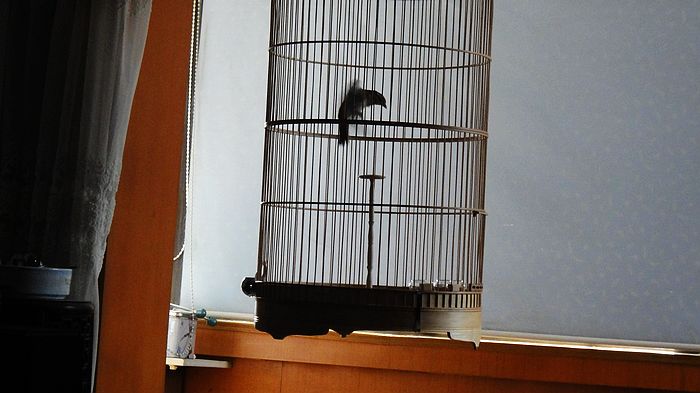 nEO_IMG_DSC02231.jpg