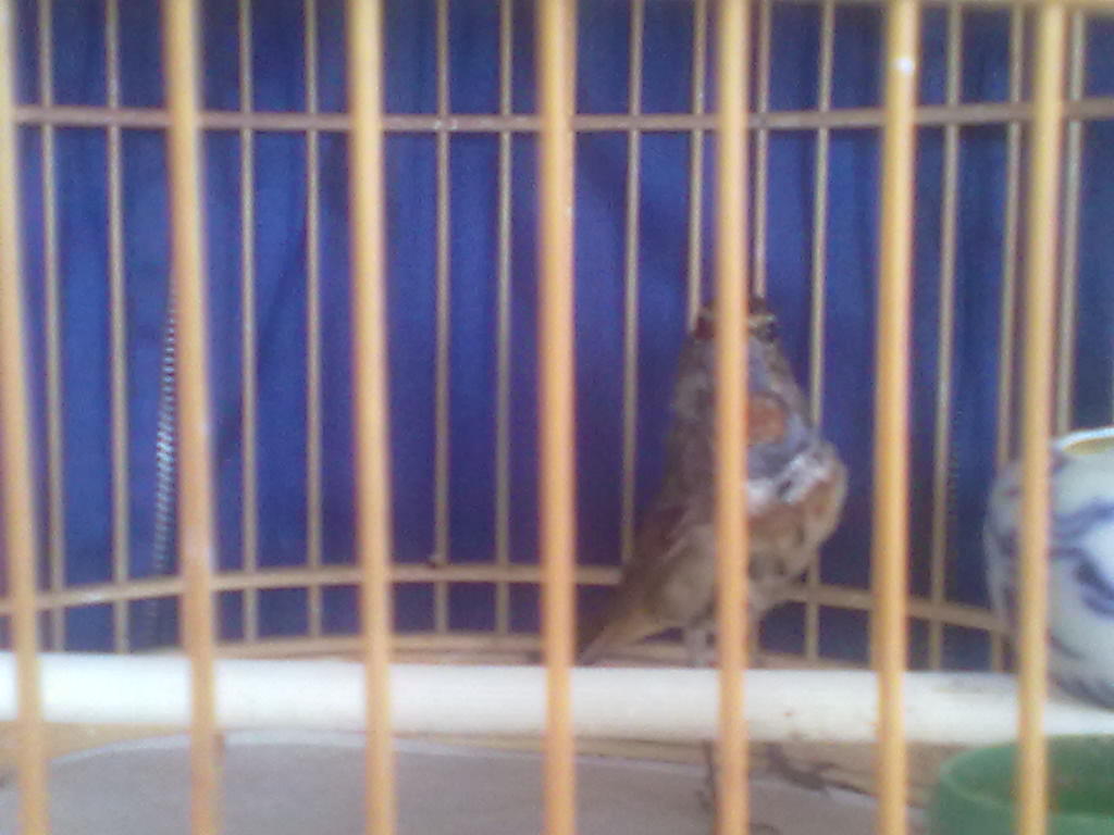 20120617641.jpg
