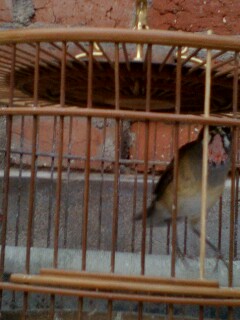 IMG0611183602.jpg