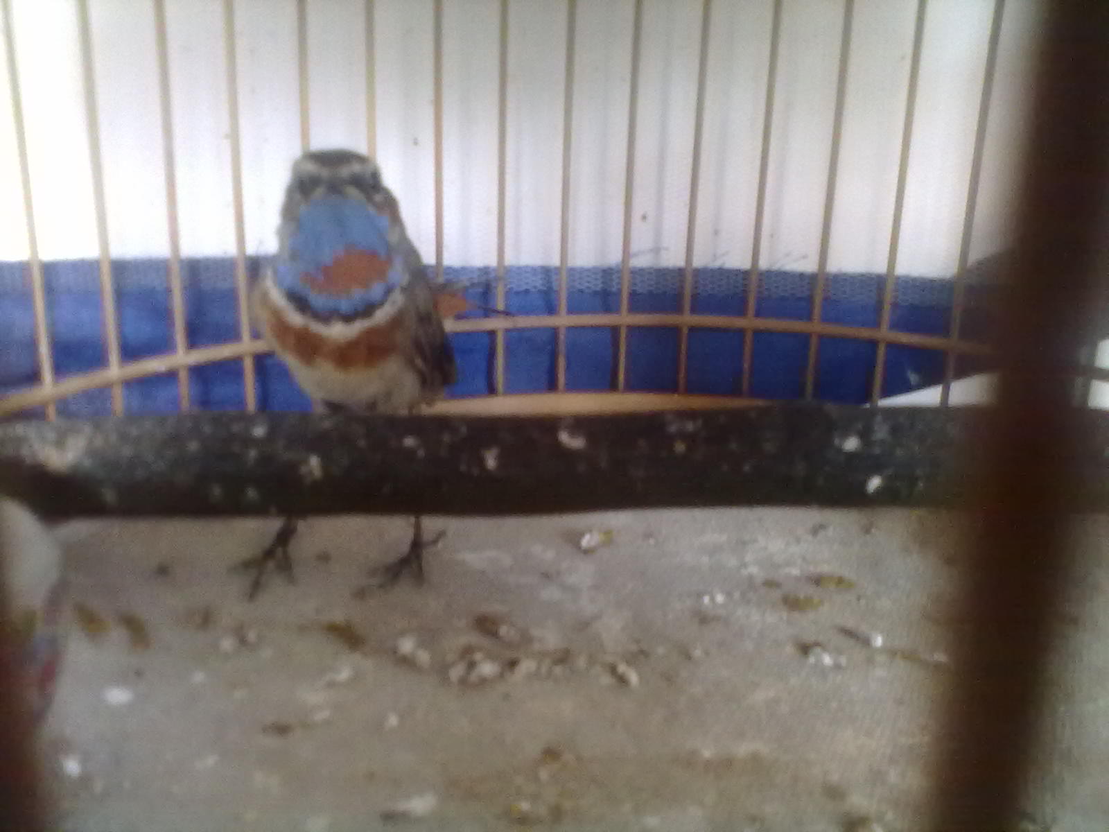 20120607098.jpg