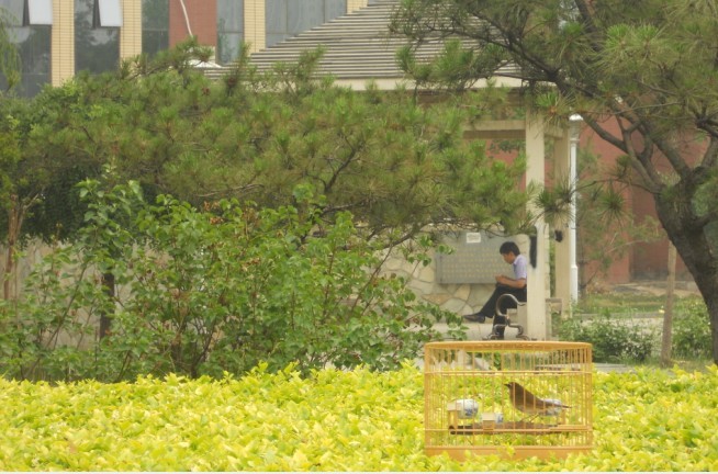 小红二21.jpg