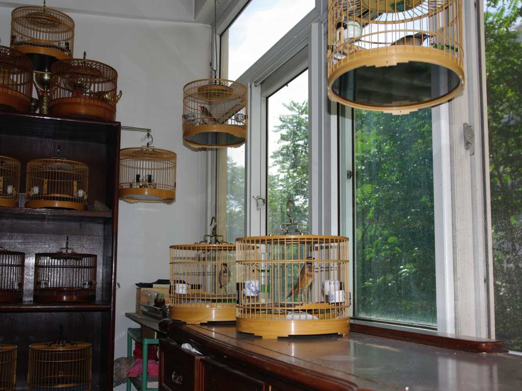 IMGP7499_conew1.jpg