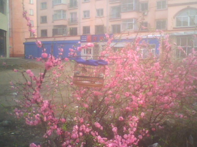 IMG0374A.jpg