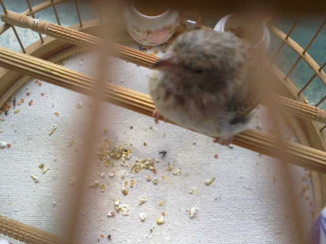 201206021717.jpg