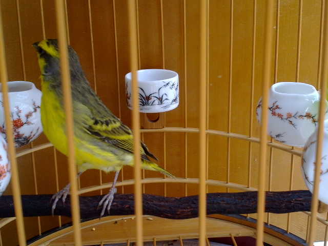 201206241795.jpg