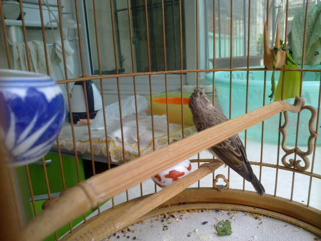 201206091720.jpg