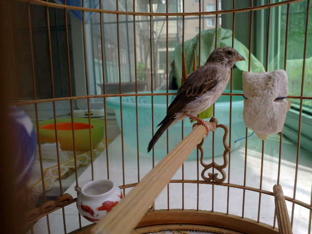 201206091721.jpg