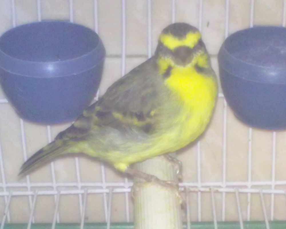201206171612.jpg