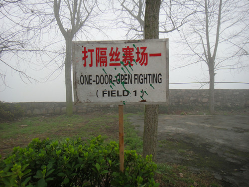 DSC03622_副本.jpg
