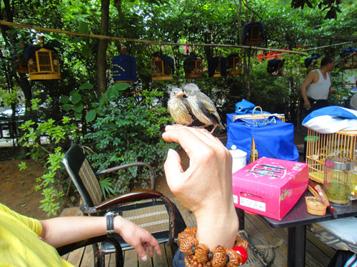 DSC06204_副本.jpg