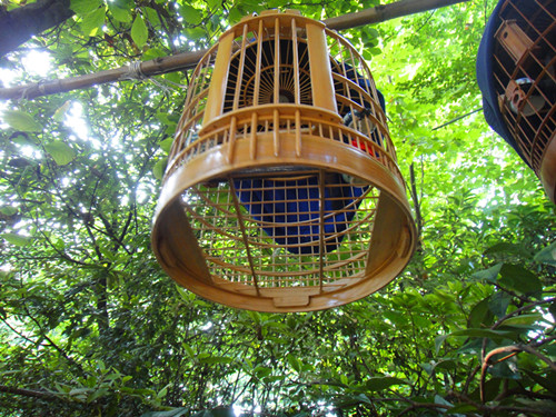 DSC06331_副本.jpg