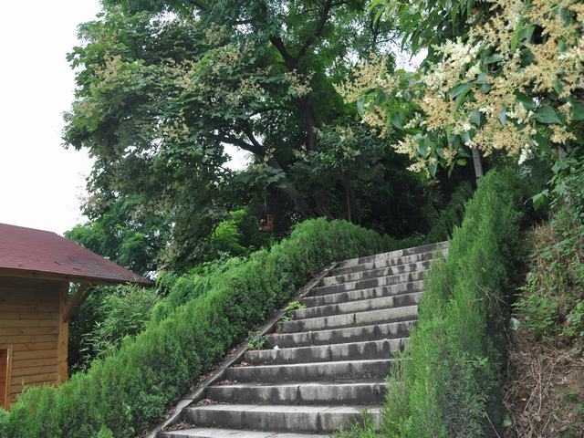 DSC_1325.JPG