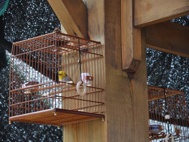 DSC_1286.JPG