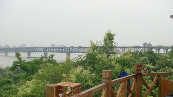 DSC05226_调整大小.JPG
