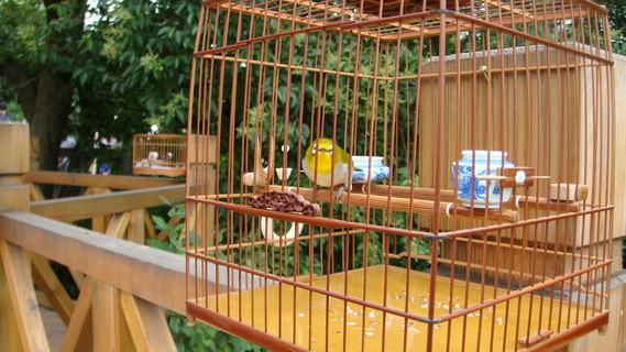 DSC05237_调整大小.JPG