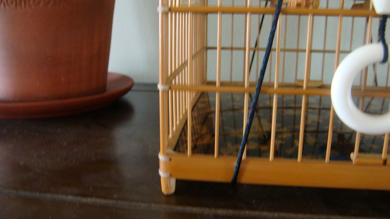 DSC04412_缩小大小.JPG