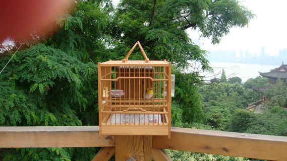 DSC05231_调整大小.JPG