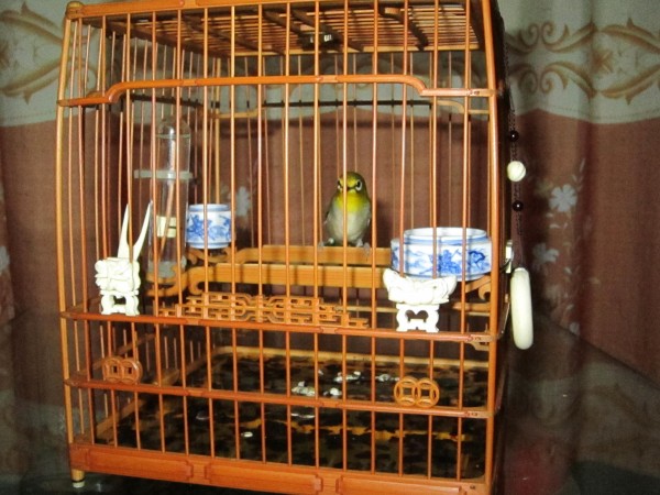 conew_img_3239.jpg