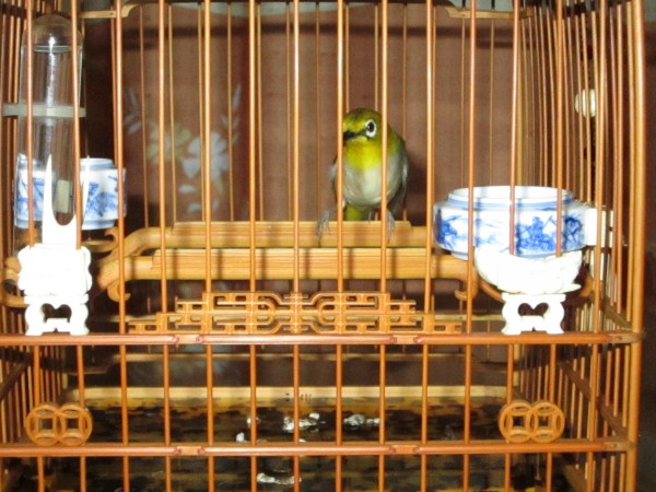 conew_img_3241.jpg