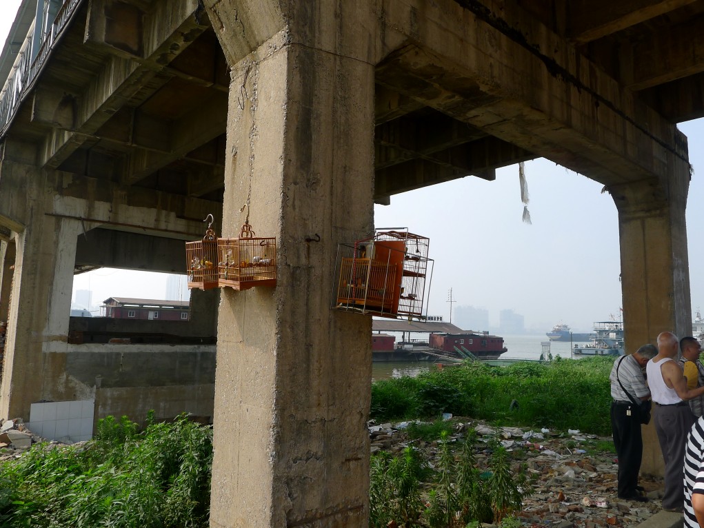 conew_p1040900.jpg