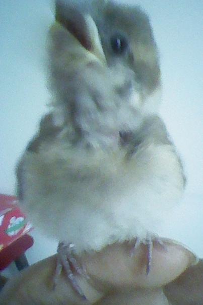 120613002.jpg