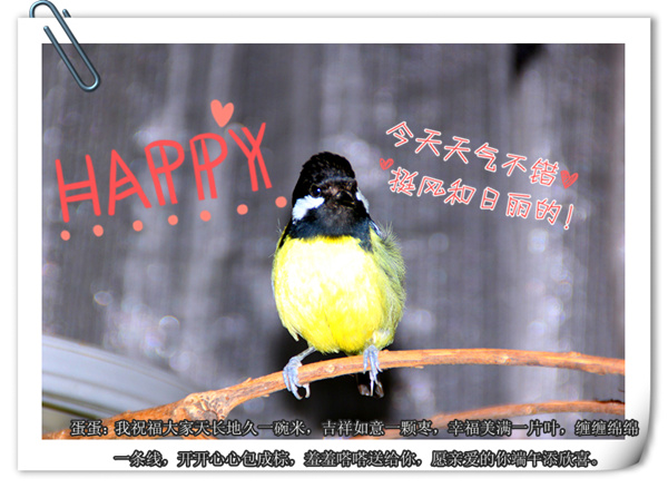img_0186_副本.jpg
