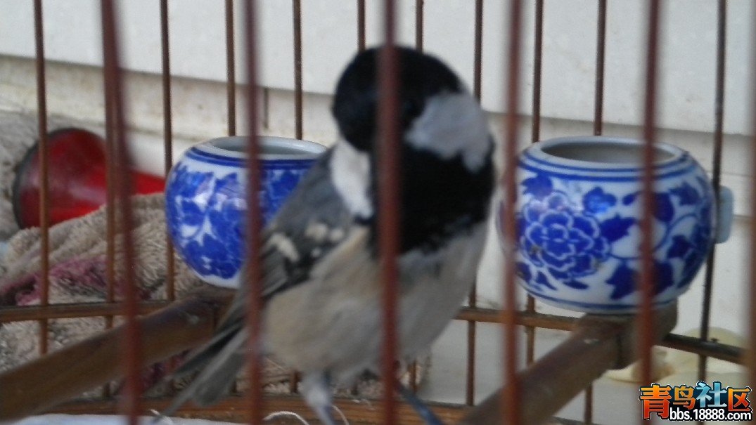 DSCN1069.JPG