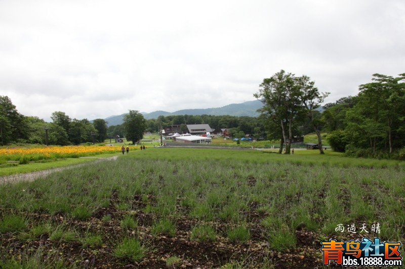 conew_dpp_00062.jpg
