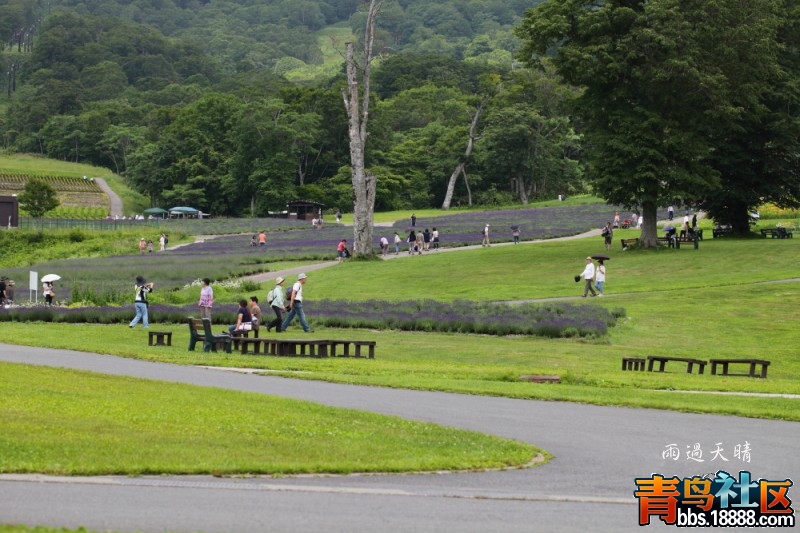 conew_dpp_00067.jpg