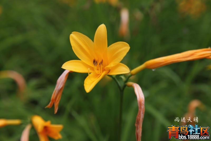 conew_dpp_00063.jpg