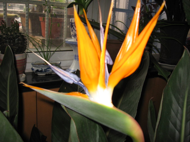 2012-04-02 019.jpg