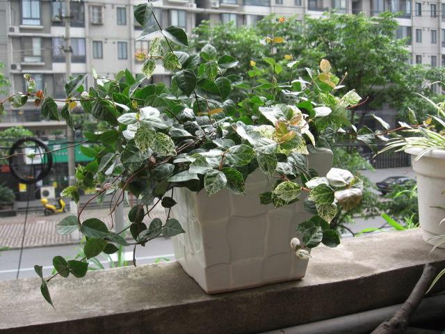 2012-07-0718 007.jpg