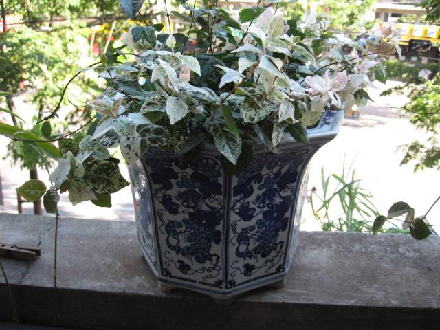2012-07-0721 019.jpg