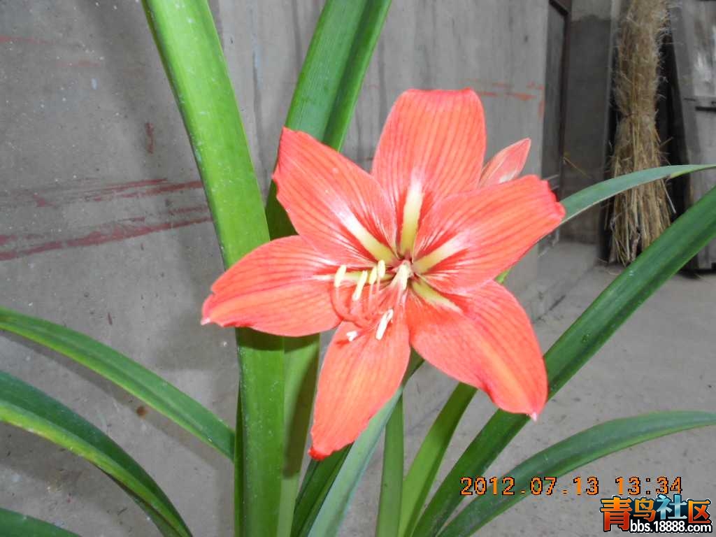 DSCN0223.jpg