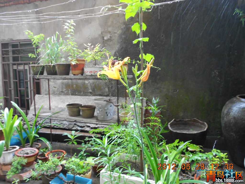 DSCN0177.jpg