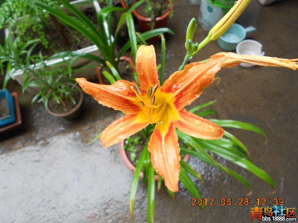 DSCN0176.jpg