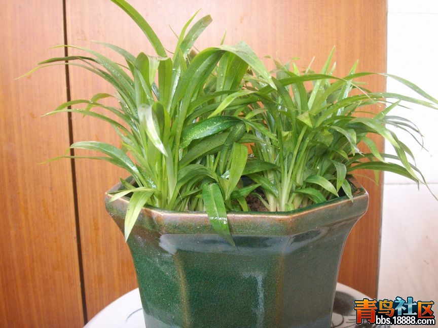 PICT0001.JPG