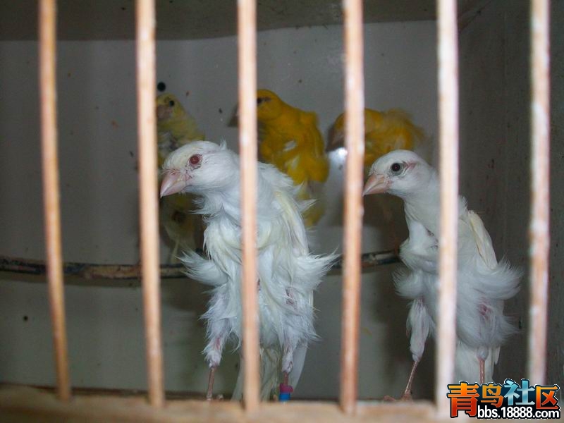 100_6247.jpg