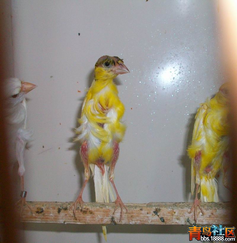 100_6297.jpg