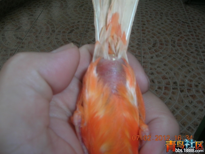 DSCN4714.jpg