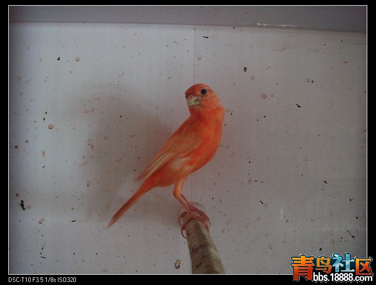 nEO_IMG_DSC00763.jpg