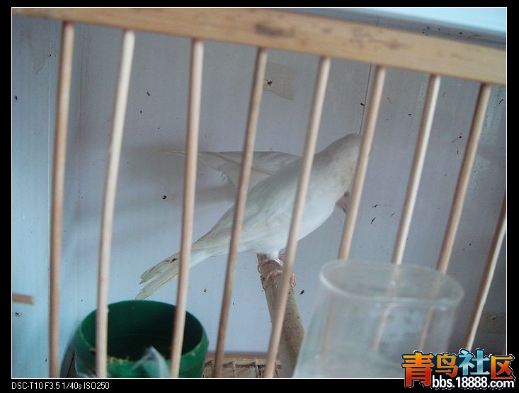 nEO_IMG_DSC00658.jpg