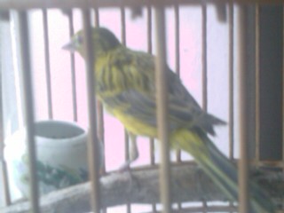 IMAG0343.jpg