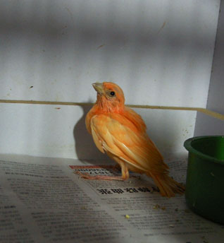 DSCN0045.JPG