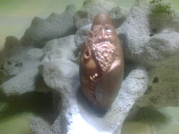 照片 096.jpg