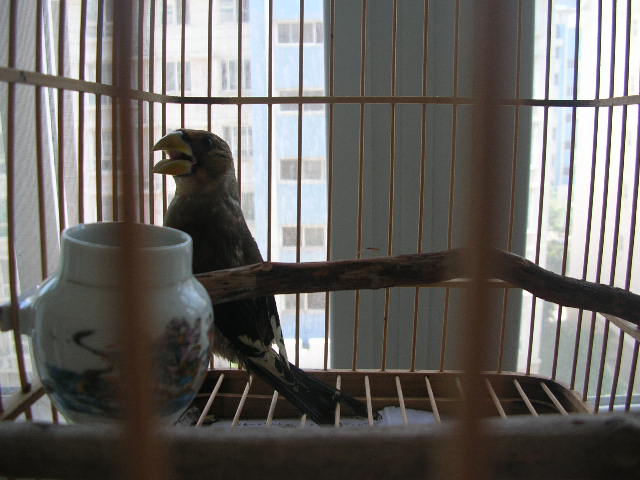 DSCN1879.JPG